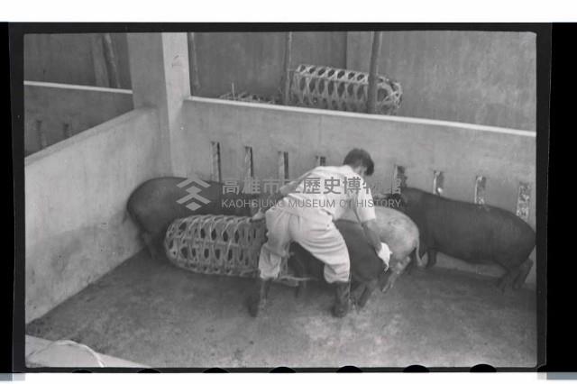 登錄號:KH2002.012.0069藏品圖，第19張