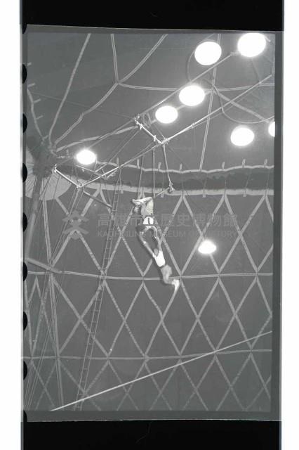 登錄號:KH2002.017.0010藏品圖，第9張