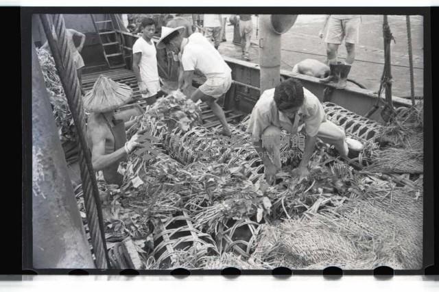 登錄號:KH2002.012.0070藏品圖，第9張