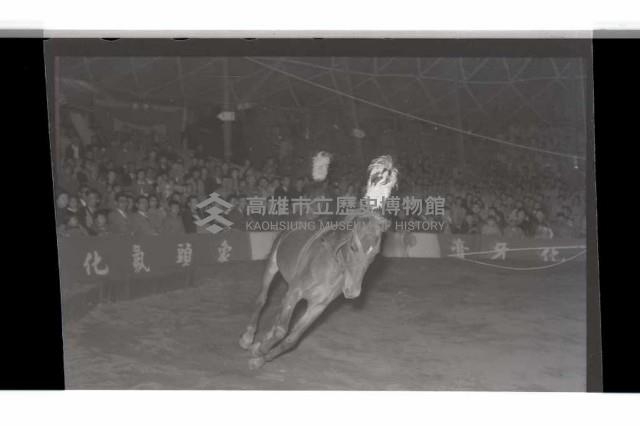 登錄號:KH2002.017.0011藏品圖，第9張