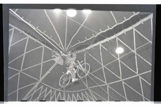 登錄號:KH2002.017.0014藏品圖，第9張