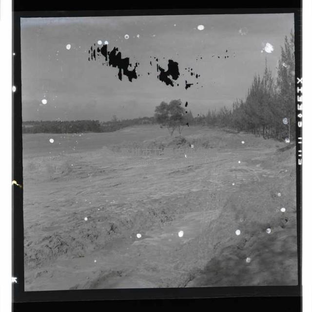 登錄號:KH2002.010.0072藏品圖，第9張