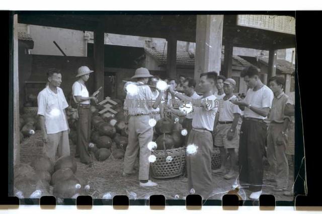 登錄號:KH2002.012.0177藏品圖，第9張