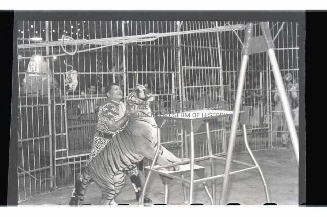 登錄號:KH2002.017.0013藏品圖，第9張