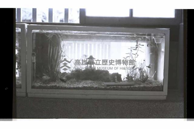 登錄號:KH2002.007.0233藏品圖，第9張