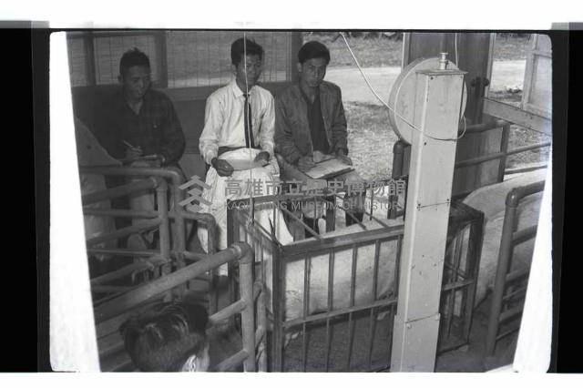 登錄號:KH2002.016.0074藏品圖，第28張