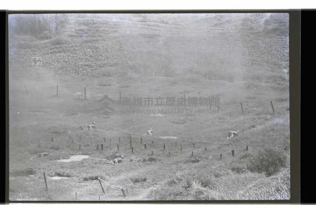 登錄號:KH2002.007.0423藏品圖，第28張