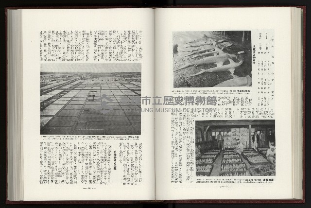 《日本地理風俗大系-  第十五卷 臺灣篇》藏品圖，第88張