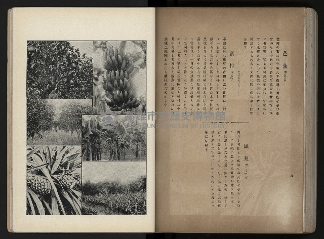 《臺灣寫真帖》藏品圖，第98張