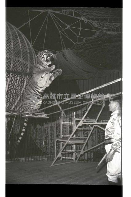 登錄號:KH2002.017.0161藏品圖，第48張