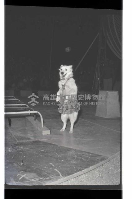 登錄號:KH2002.017.0161藏品圖，第78張