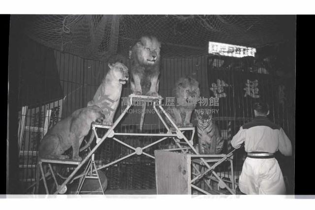 登錄號:KH2002.017.0161藏品圖，第58張