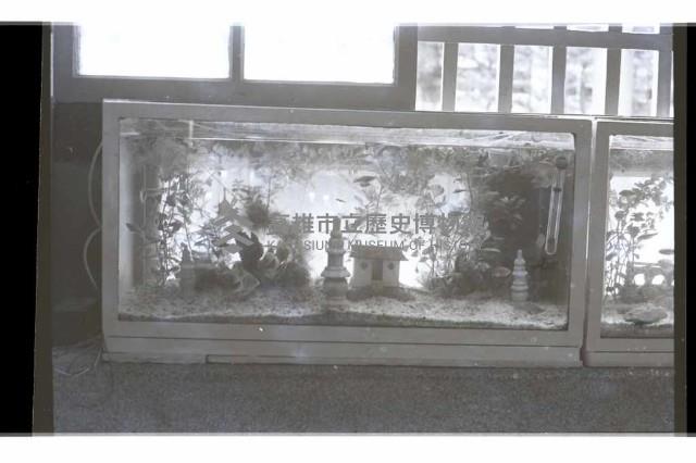 登錄號:KH2002.007.0233藏品圖，第18張