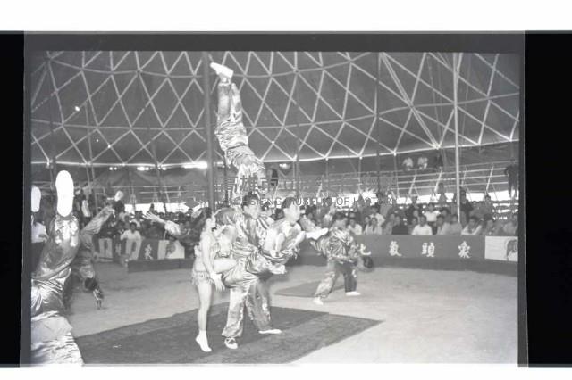 登錄號:KH2002.017.0012藏品圖，第8張