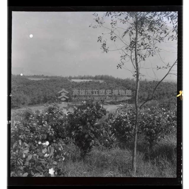 登錄號:KH2002.010.0072藏品圖，第8張