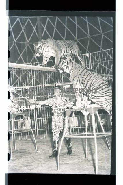 登錄號:KH2002.017.0013藏品圖，第8張