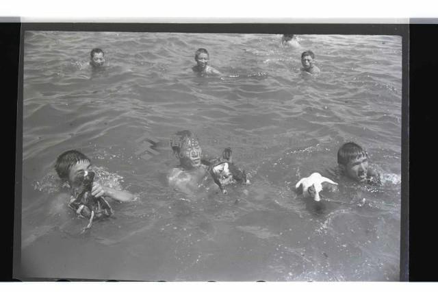 登錄號:KH2002.017.0028藏品圖，第23張