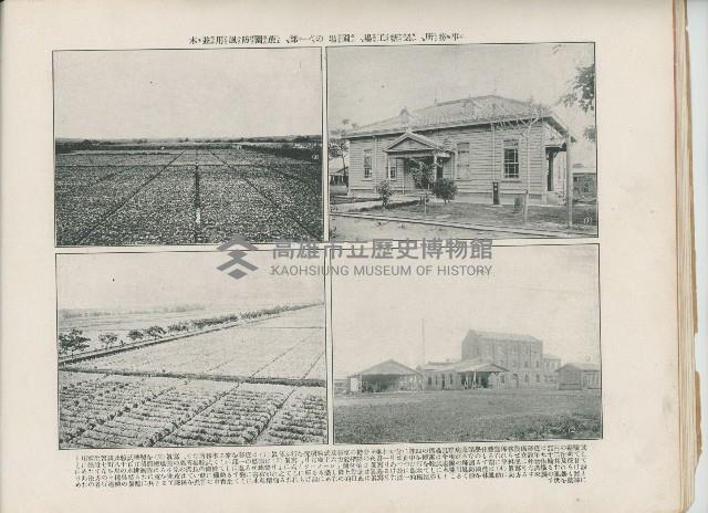 登錄號:KH2003.008.0176藏品圖，第23張