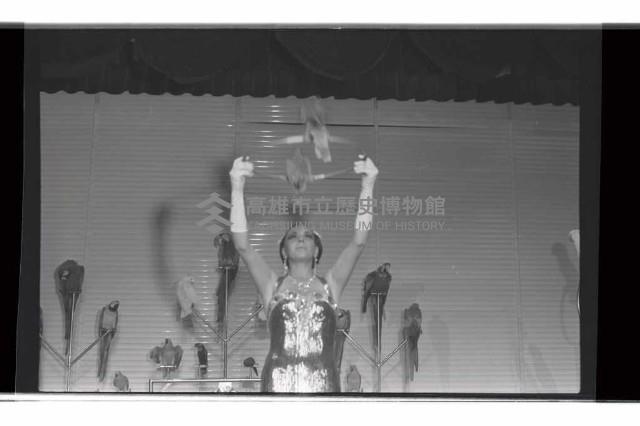 登錄號:KH2002.017.0332藏品圖，第23張