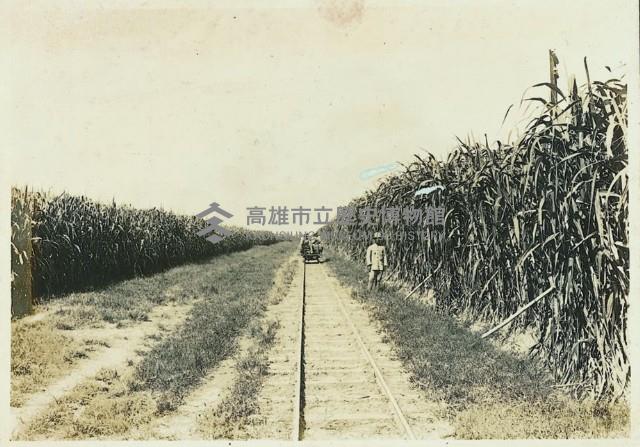 登錄號:KH2003.008.0179藏品圖，第23張