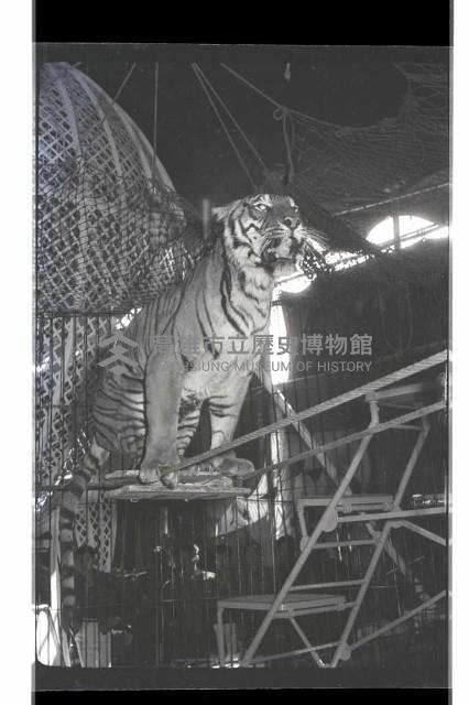 登錄號:KH2002.017.0161藏品圖，第63張