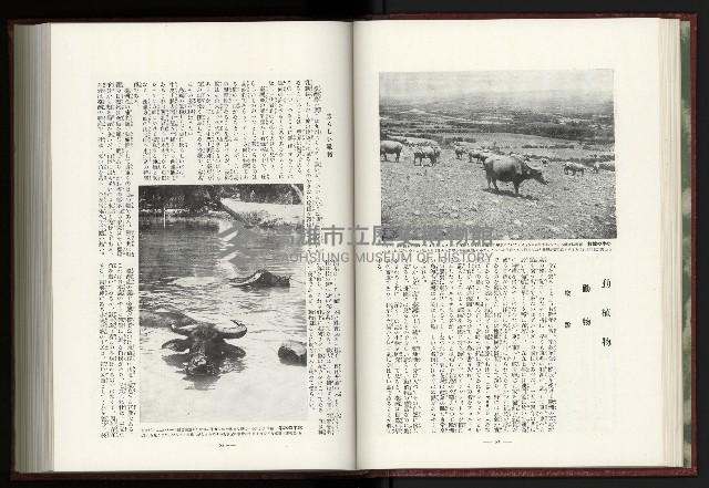 《日本地理風俗大系-  第十五卷 臺灣篇》藏品圖，第43張