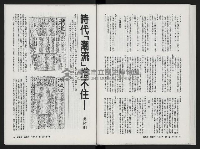 《美麗島NO.1》藏品圖，第43張