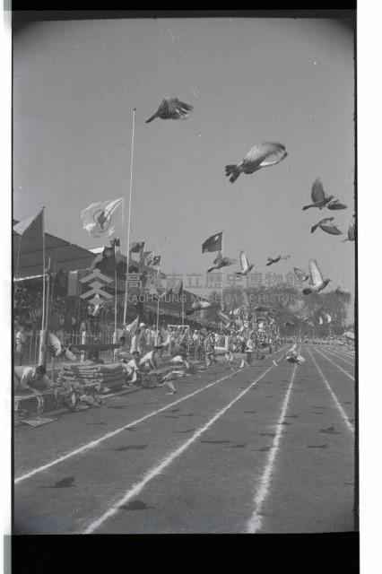 登錄號:KH2002.014.0055藏品圖，第43張