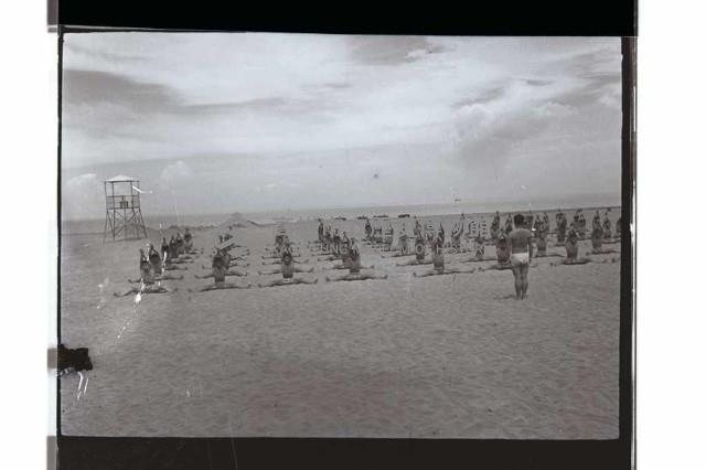 登錄號:KH2002.019.0219藏品圖，第43張