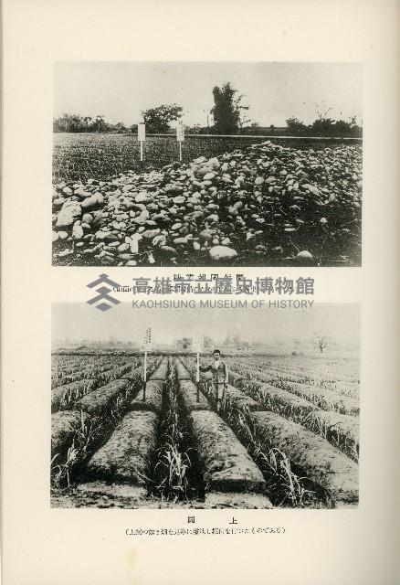 登錄號:KH2003.008.0178藏品圖，第474張