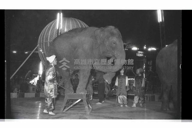 登錄號:KH2002.017.0161藏品圖，第73張