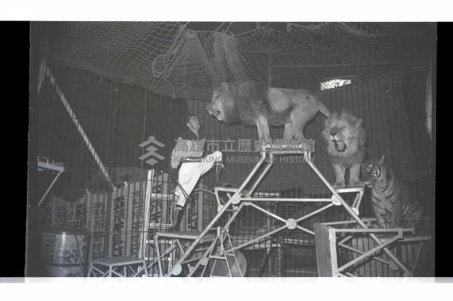 登錄號:KH2002.017.0161藏品圖，第53張