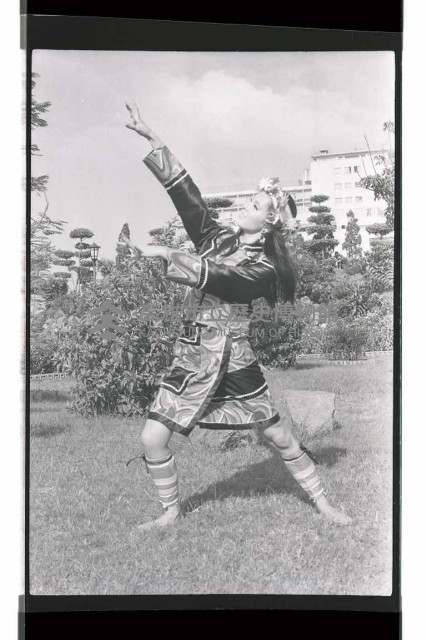 登錄號:KH2002.017.0334藏品圖，第13張