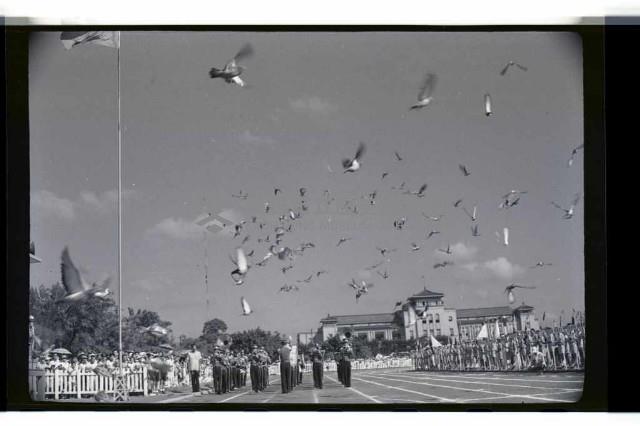 登錄號:KH2002.014.0062藏品圖，第13張