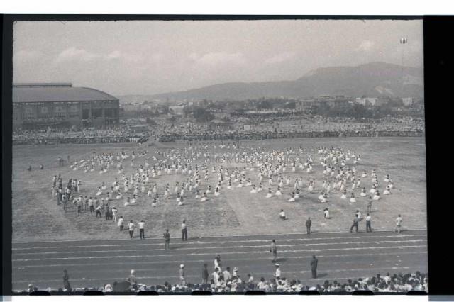 登錄號:KH2002.014.0065藏品圖，第13張