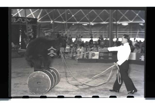 登錄號:KH2002.017.0015藏品圖，第13張