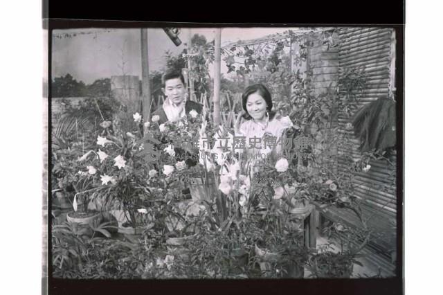 登錄號:KH2002.017.0235藏品圖，第13張