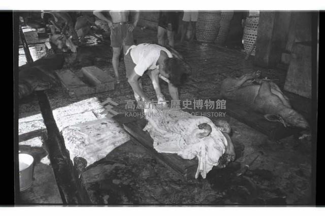 登錄號:KH2002.016.0075藏品圖，第13張