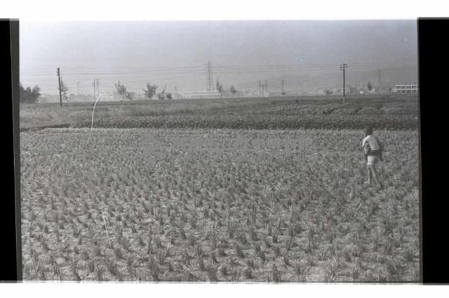 登錄號:KH2002.007.0269藏品圖，第13張