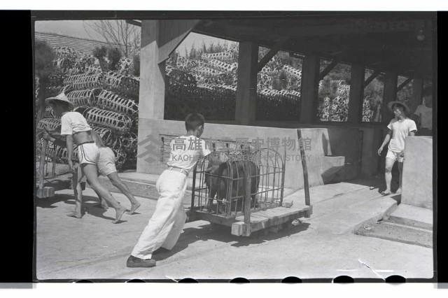 登錄號:KH2002.012.0069藏品圖，第13張