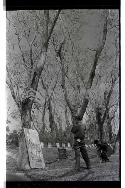 登錄號:KH2002.012.0409藏品圖，第13張