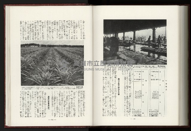 《日本地理風俗大系-  第十五卷 臺灣篇》藏品圖，第203張
