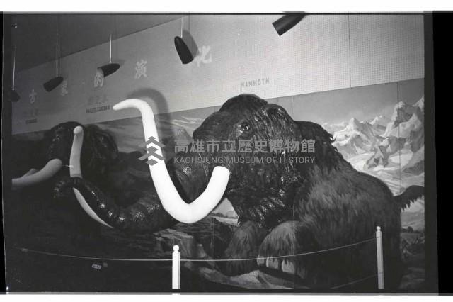 登錄號:KH2002.020.0008藏品圖，第3張