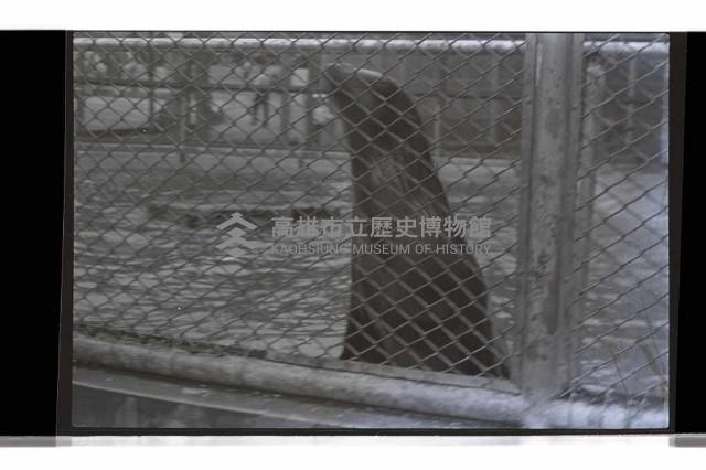 登錄號:KH2002.017.0238藏品圖，第3張