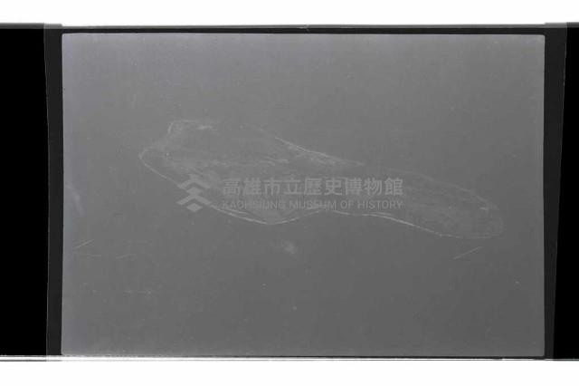 登錄號:KH2002.019.0310藏品圖，第3張