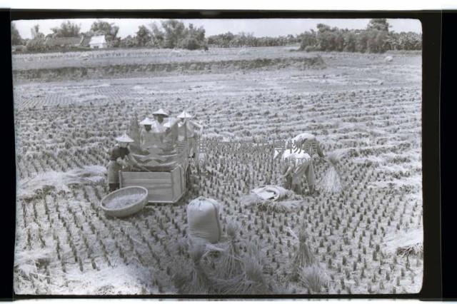 登錄號:KH2002.011.0016藏品圖，第3張