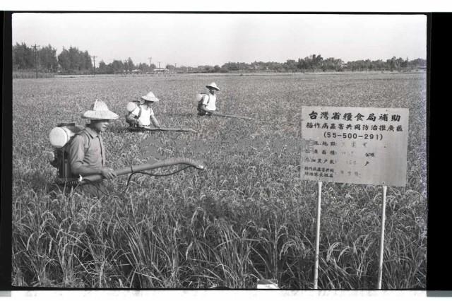 登錄號:KH2002.011.0056藏品圖，第3張