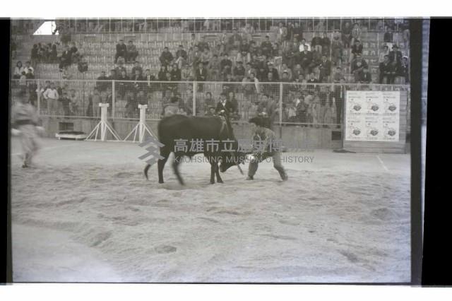 登錄號:KH2002.017.0141藏品圖，第3張