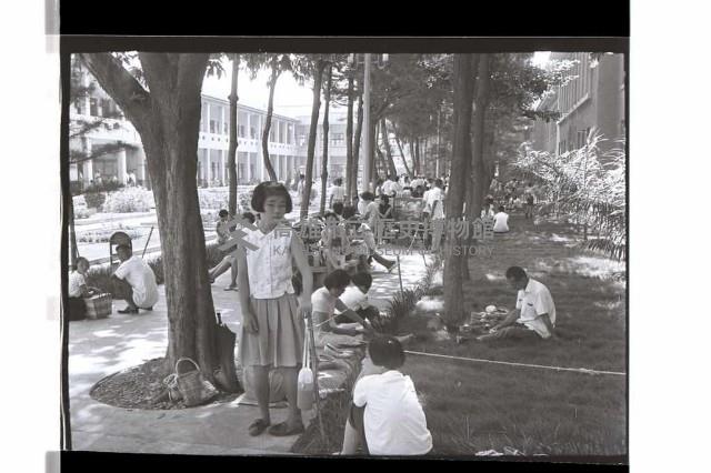 登錄號:KH2002.007.0334藏品圖，第3張