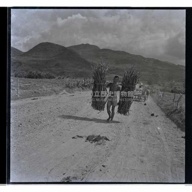 登錄號:KH2002.013.0002藏品圖，第3張